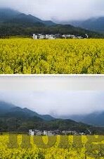 糖心vlog安安老师-糖心vlog，安安老师的教育智慧绽放日常